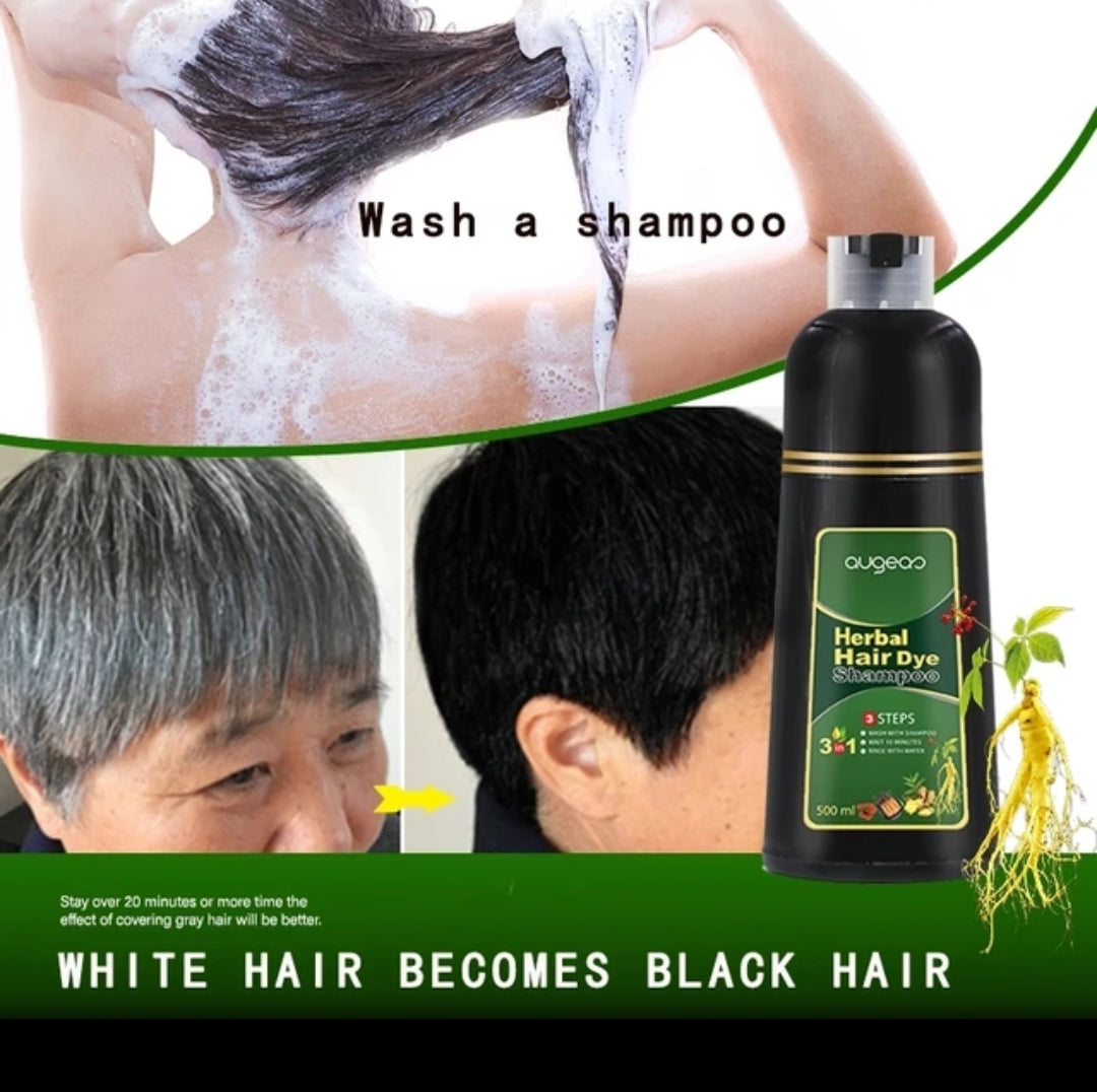 Hair Dye 2 In 1 Ginseng &  Oil Black Hair Color Permanent Shampoo For Men And Women